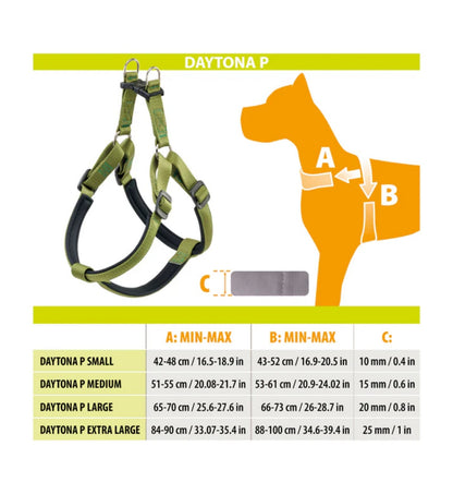 MORSO CANE COLLARE ADDESTRAMENTO REGULAR TOUCH GOLD XL / 60 10 MM