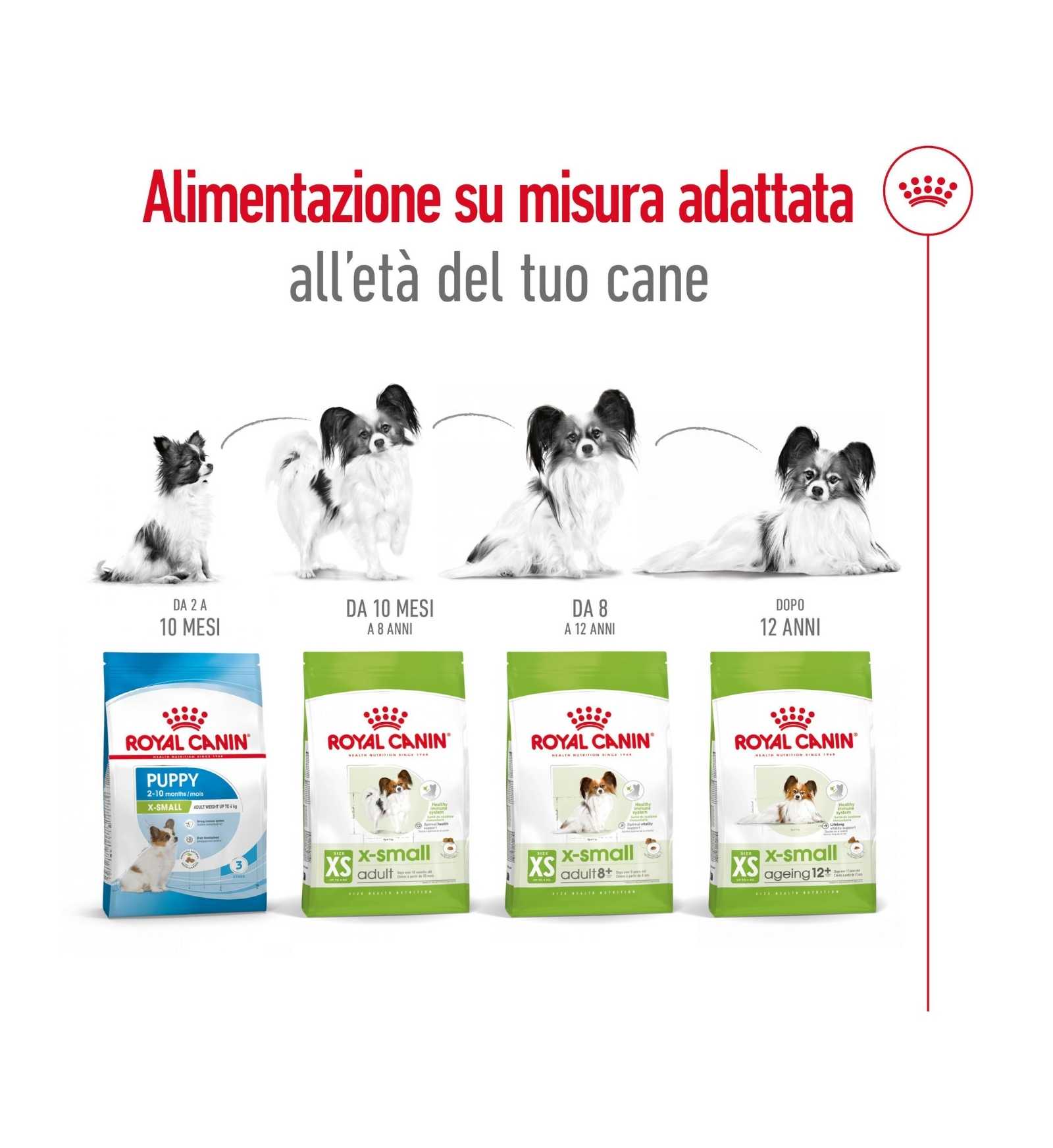 ROYAL CANIN CANE ADULT X-SMALL