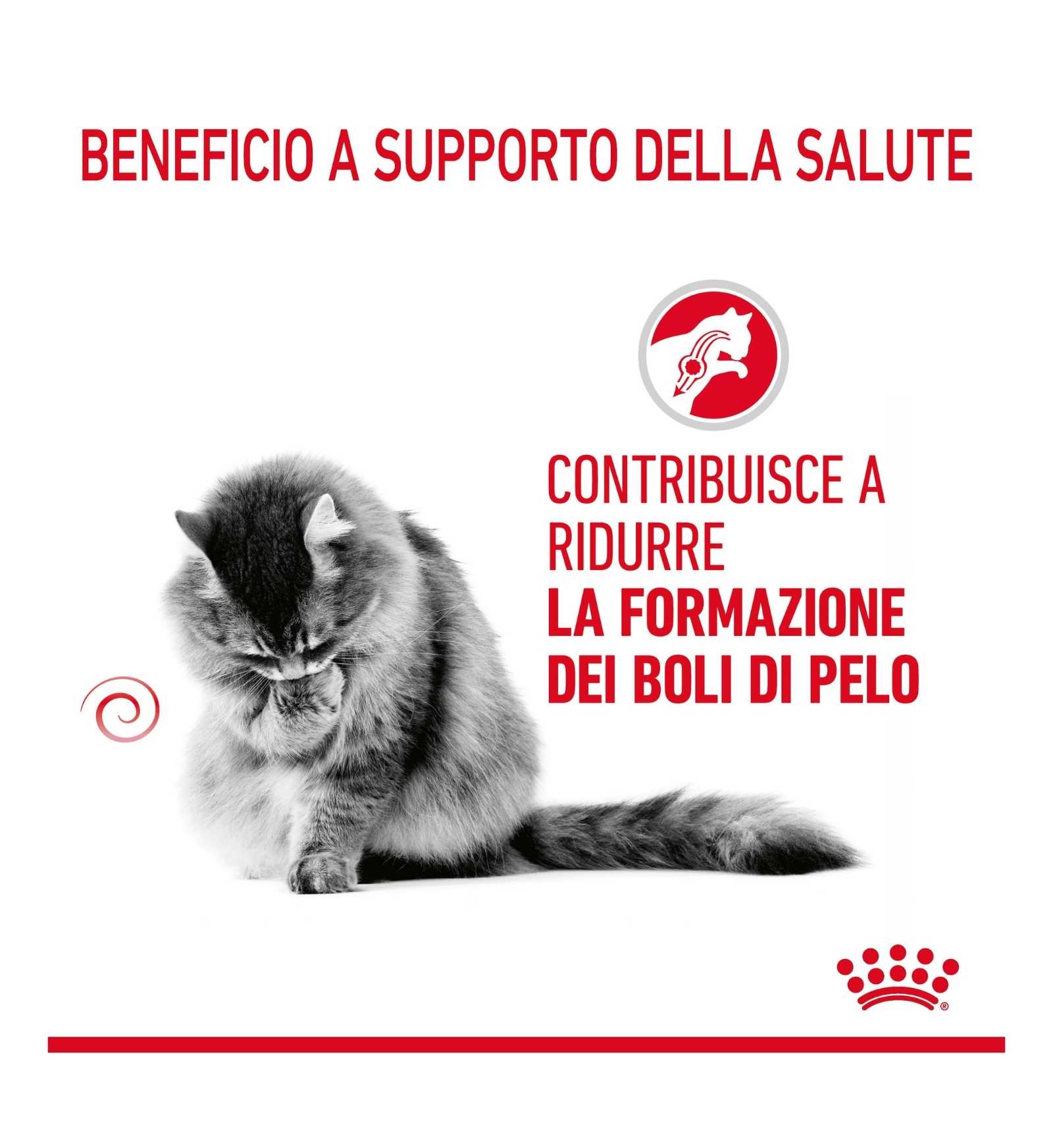 INNOVET CANE E GATTO RETOPIX MOUSSE DA 150 ML