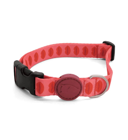 MORSO CANE COLLARE LIPSTICK MEDIUM