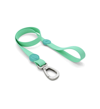 MORSO CANE GUINZAGLIO REGULAR WATERPROOF CARIBBEAN GREEN SM