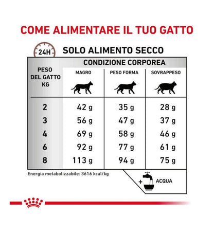 ROYAL CANIN GATTO GASTROINTESTINAL HAIRBALL