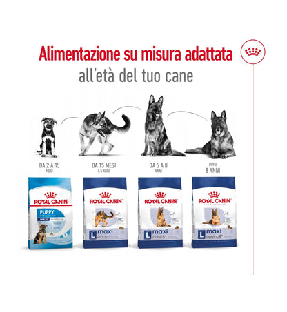 ROYAL CANIN CANE AGEING 8+ MAXI DA 15 KG