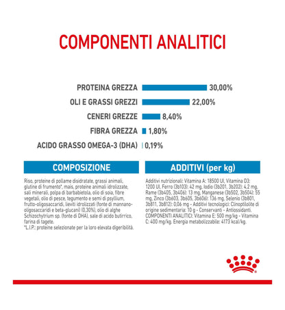 ROYAL CANIN CANE STARTER MAXI MOTHER & BABY