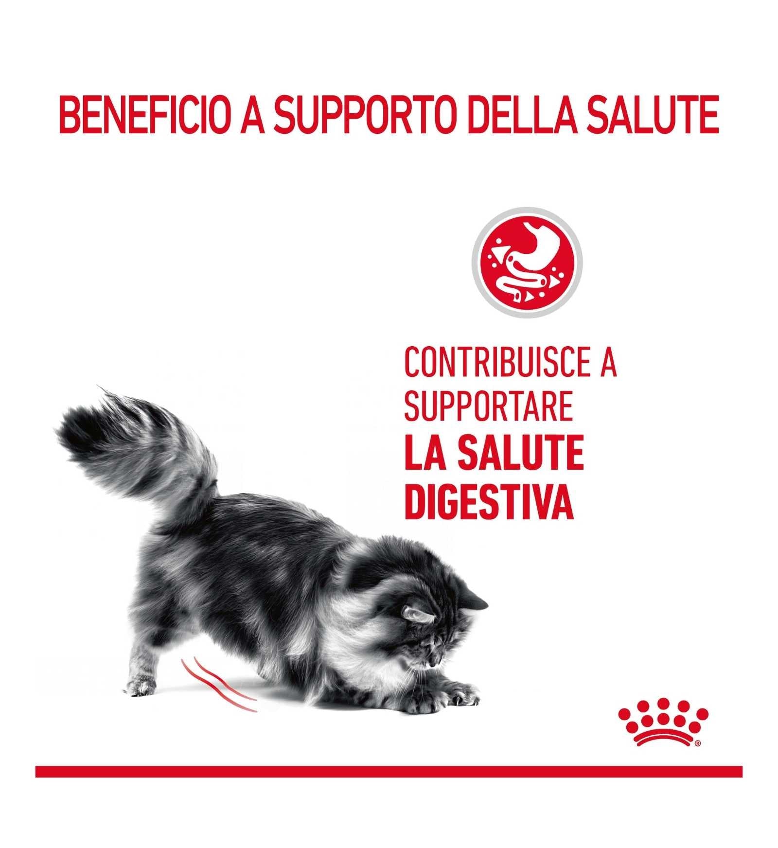 INNOVET CANE E GATTO OLEEA CAPS DA 60 COMPRESSE
