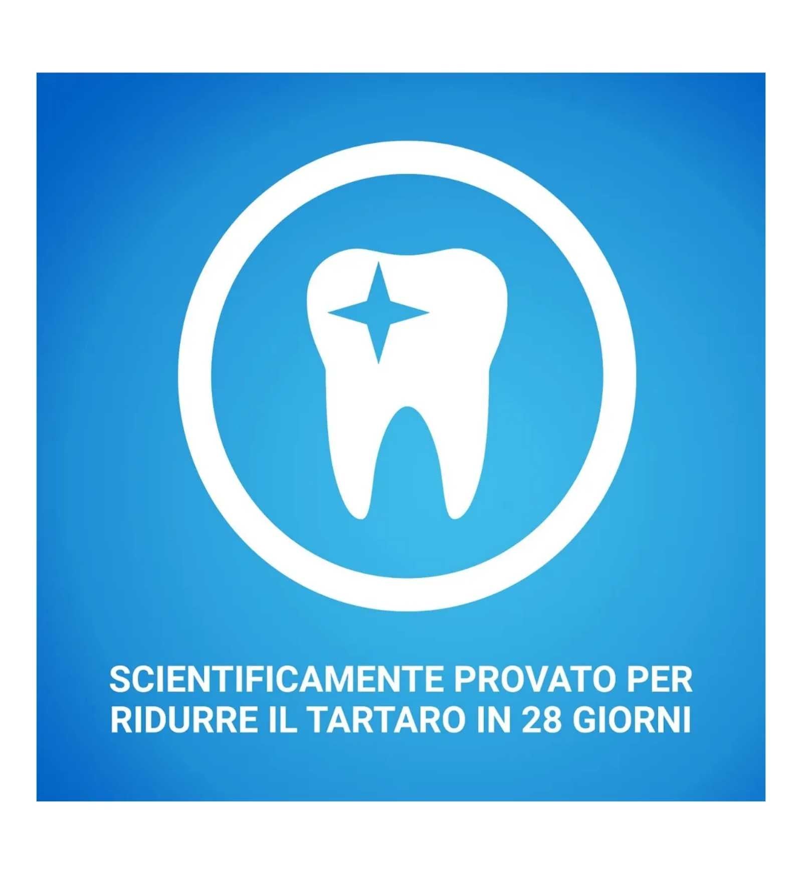PURINA DENTALIFE SNACK CANE DAILY ORALCARE LARGE 12 PEZZI 426 GR