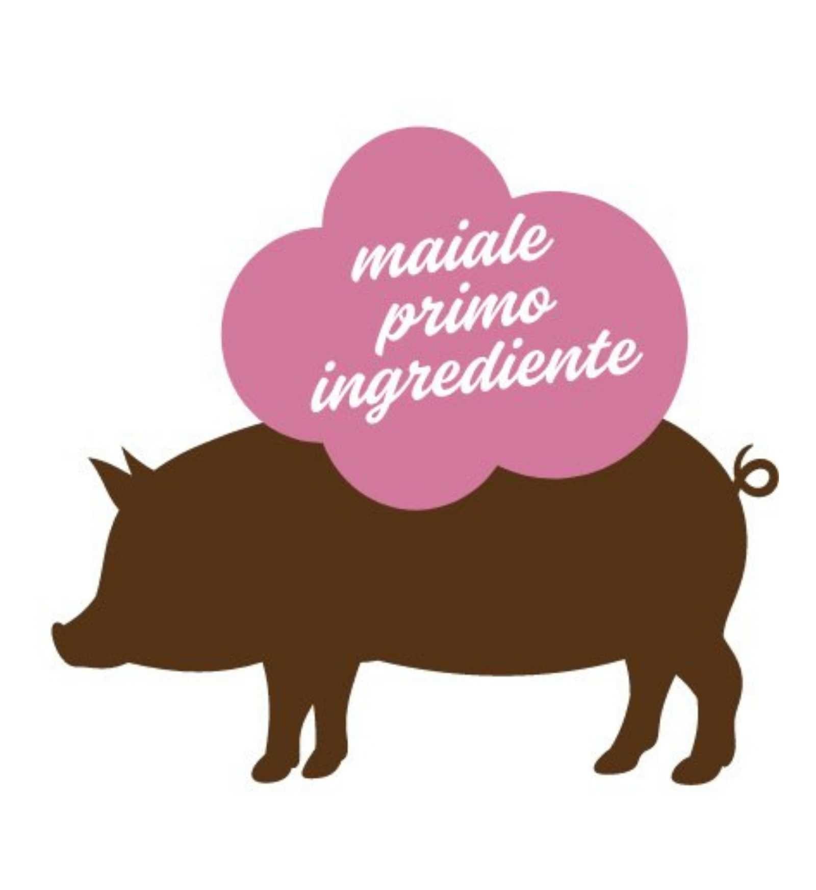 STUZZY CANE MONOPROTEIN GRAIN & GLUTEN FREE ADULT MAIALE FRESCO