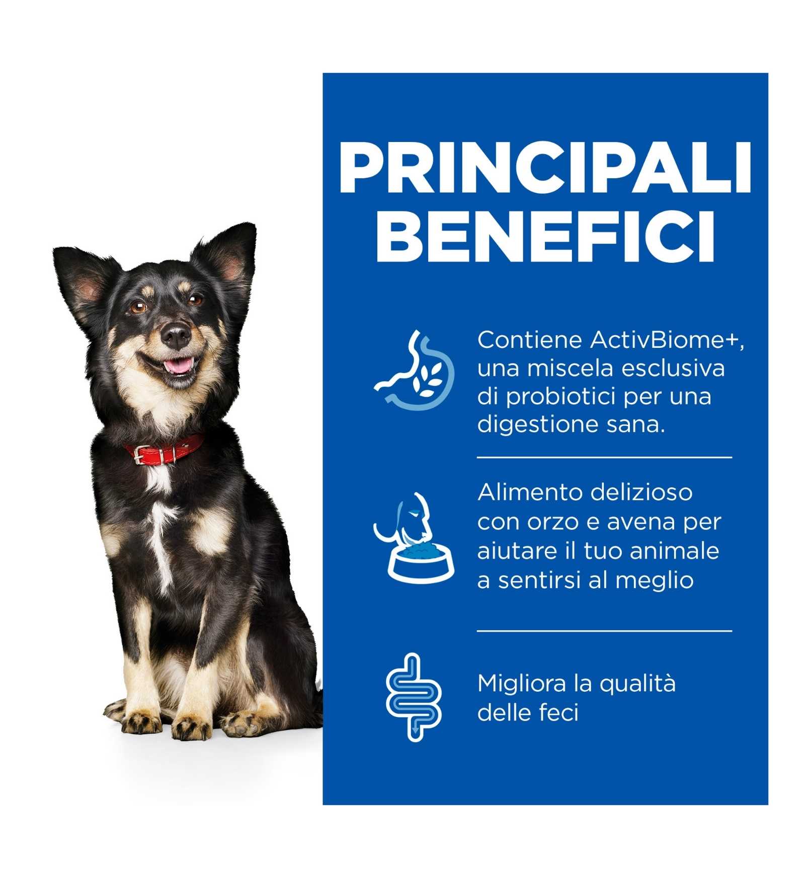 HILL'S SCIENCE PLAN CANE ADULT SMALL & MINI PERFECT DIGESTION DA 1,5 KG