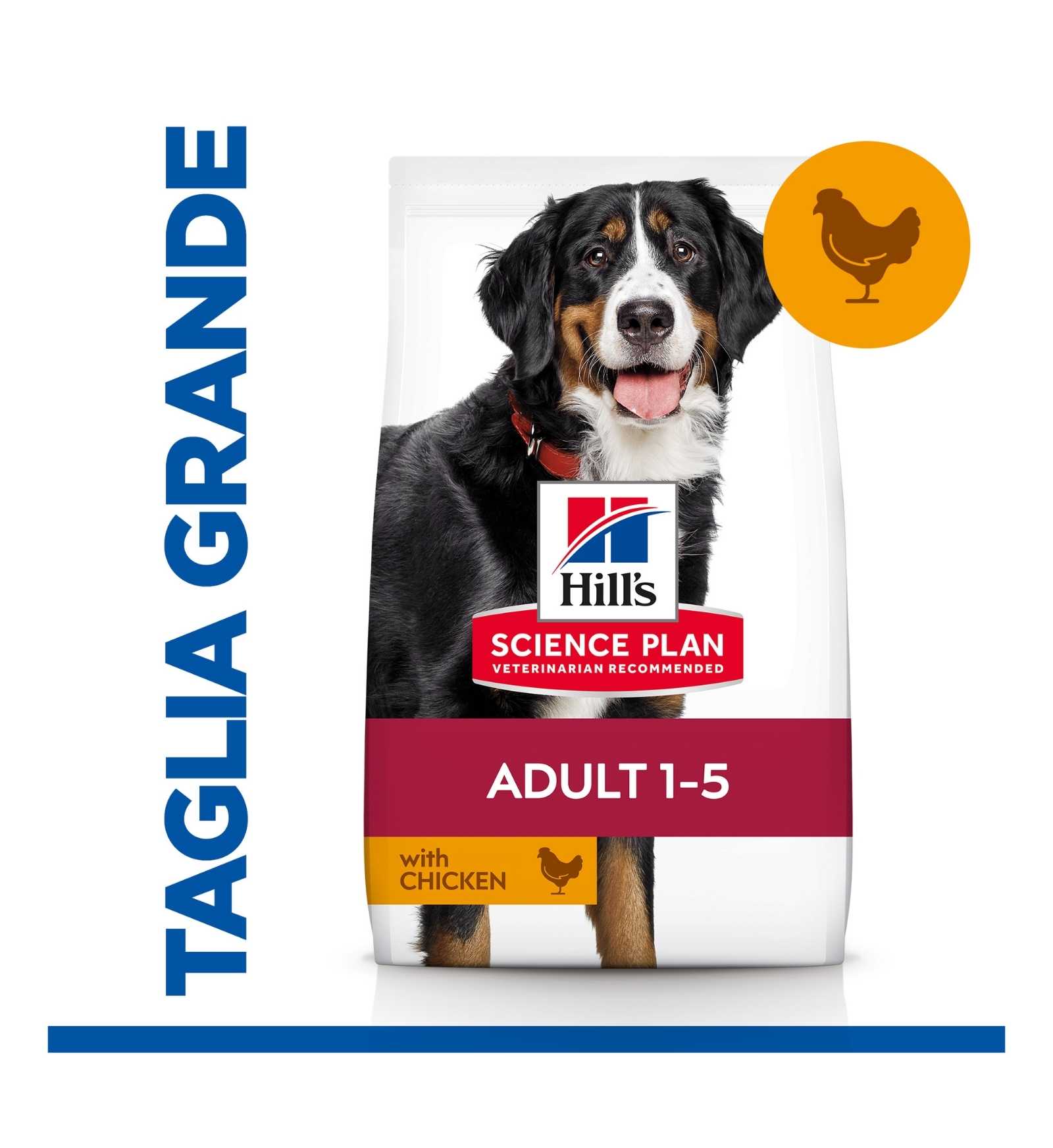 HILL'S SCIENCE PLAN CANE ADULT LARGE BREED AL POLLO