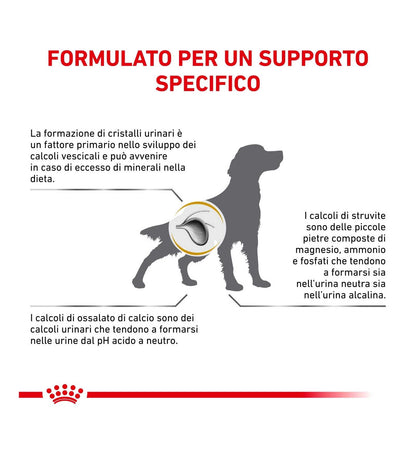 ROYAL CANIN CANE DIET URINARY S/O