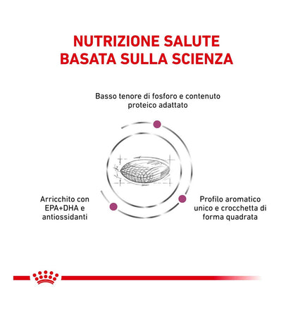 ROYAL CANIN CANE DIET RENAL