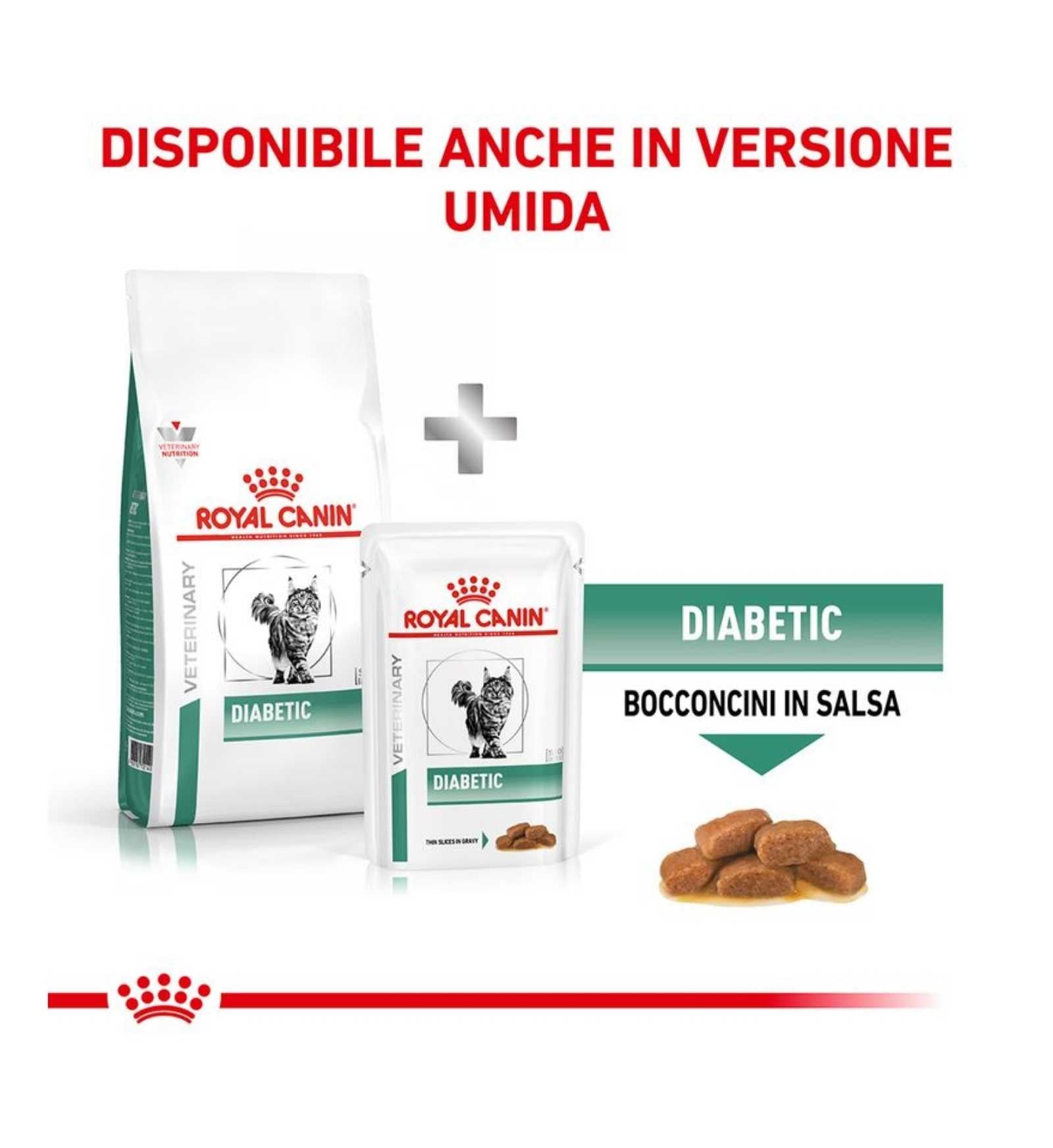 ROYAL CANIN GATTO DIET DIABETIC DA 1,5 KG