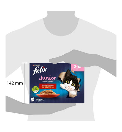 PURINA FELIX AGAIL GATTO GHIOTTONERIE JUNIOR 12 BUSTE DA 85 GR