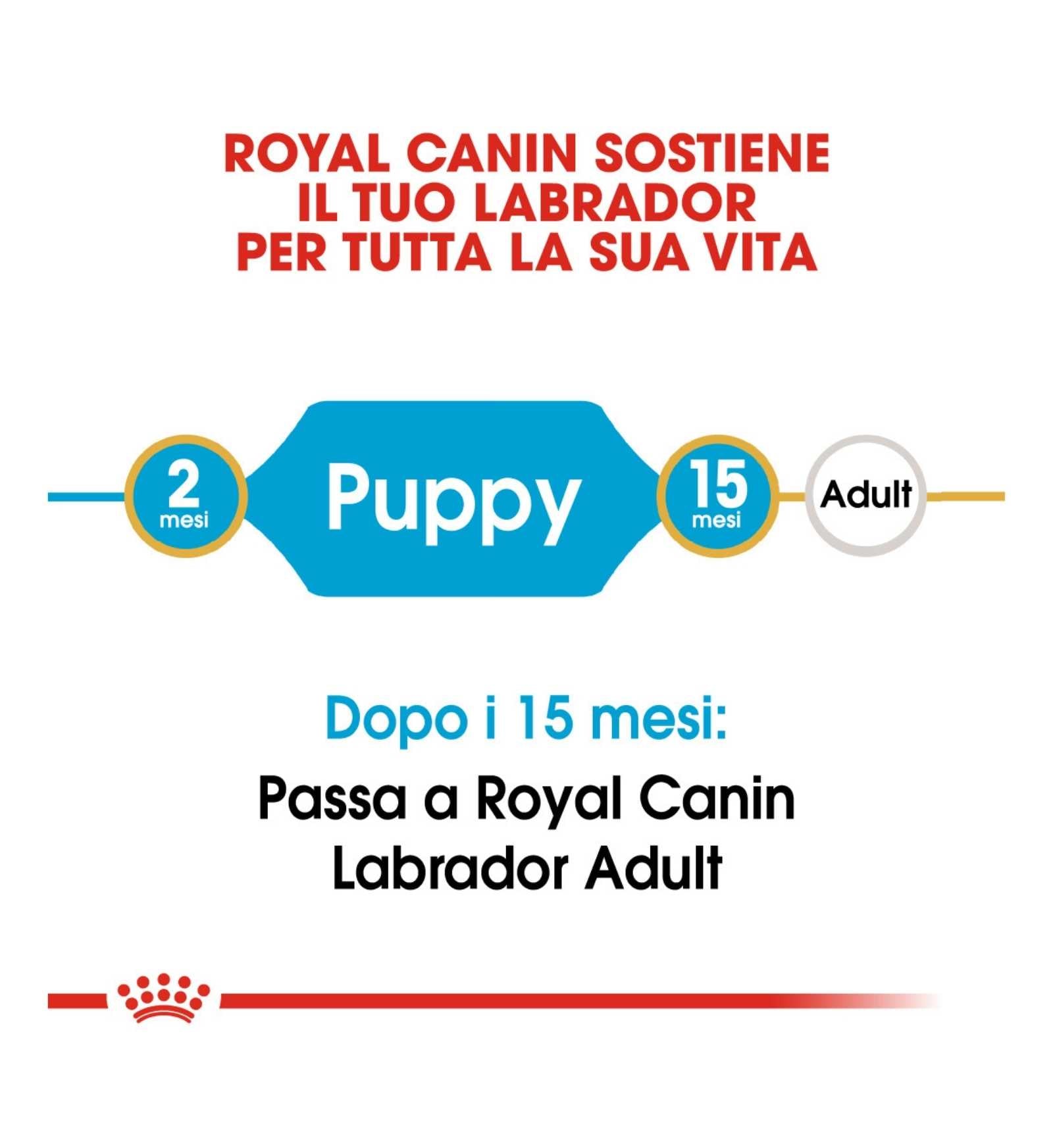 ROYAL CANIN CANE BREED LABRADOR PUPPY