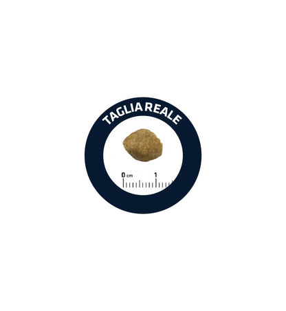 ADVANCE CANE ADULT URINARY LOW PURINE DA 12 KG