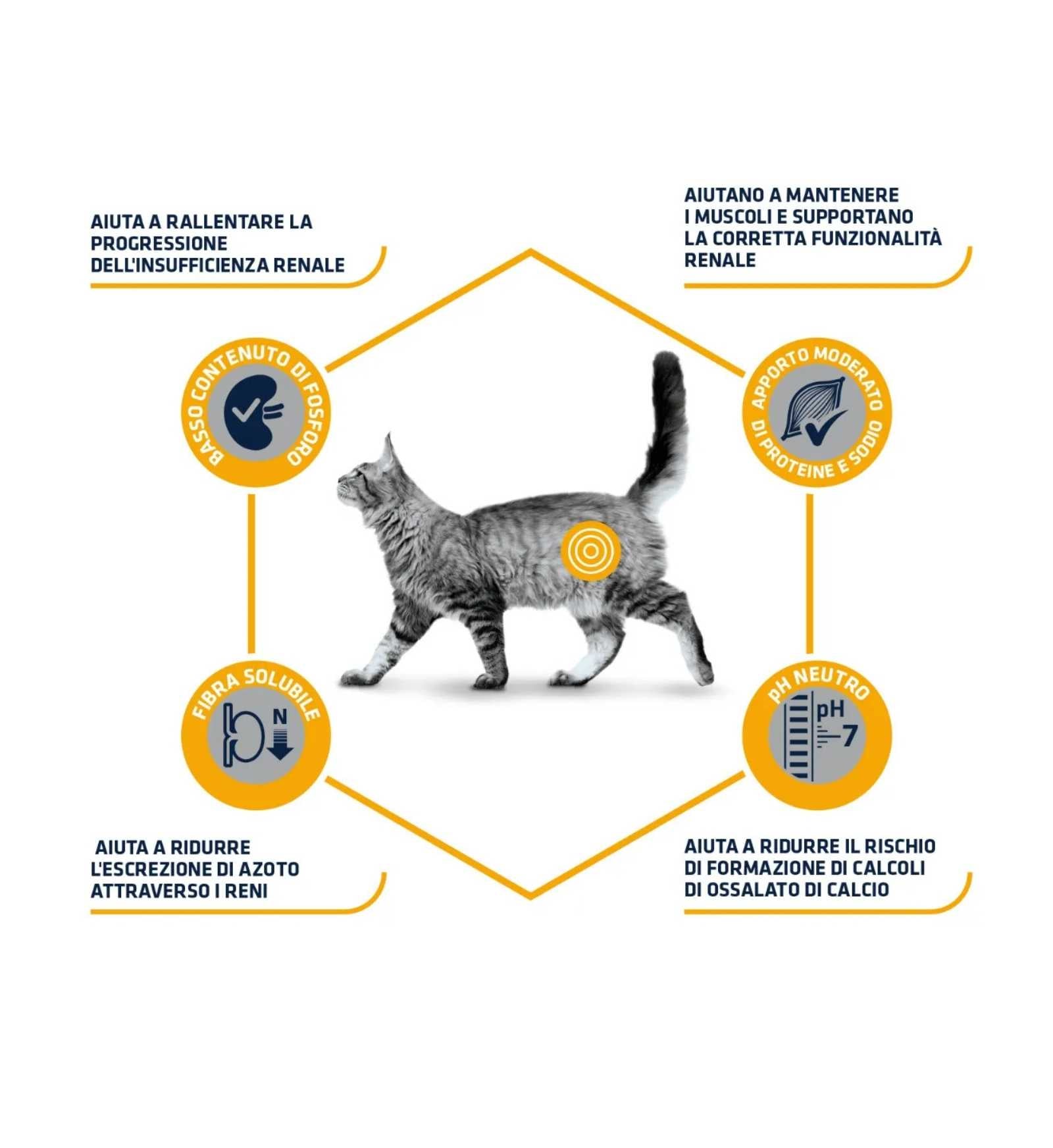 AFFINITY GATTO ADVANCE VETERINARY DIETS RENAL DA 1,5 KG