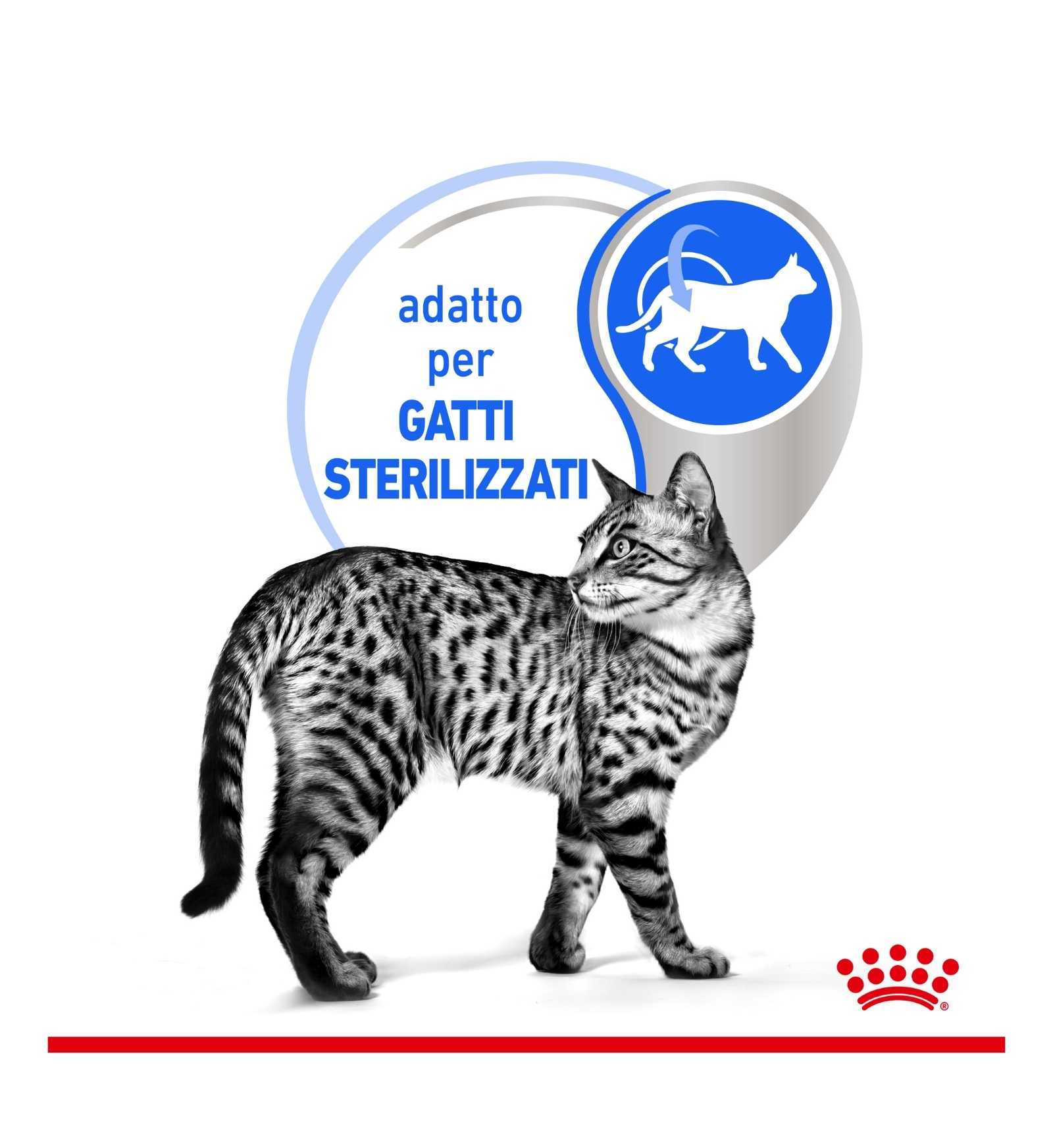 ROYAL CANIN GATTO INDOOR GRAVY DA 85 GR IN BUSTINA