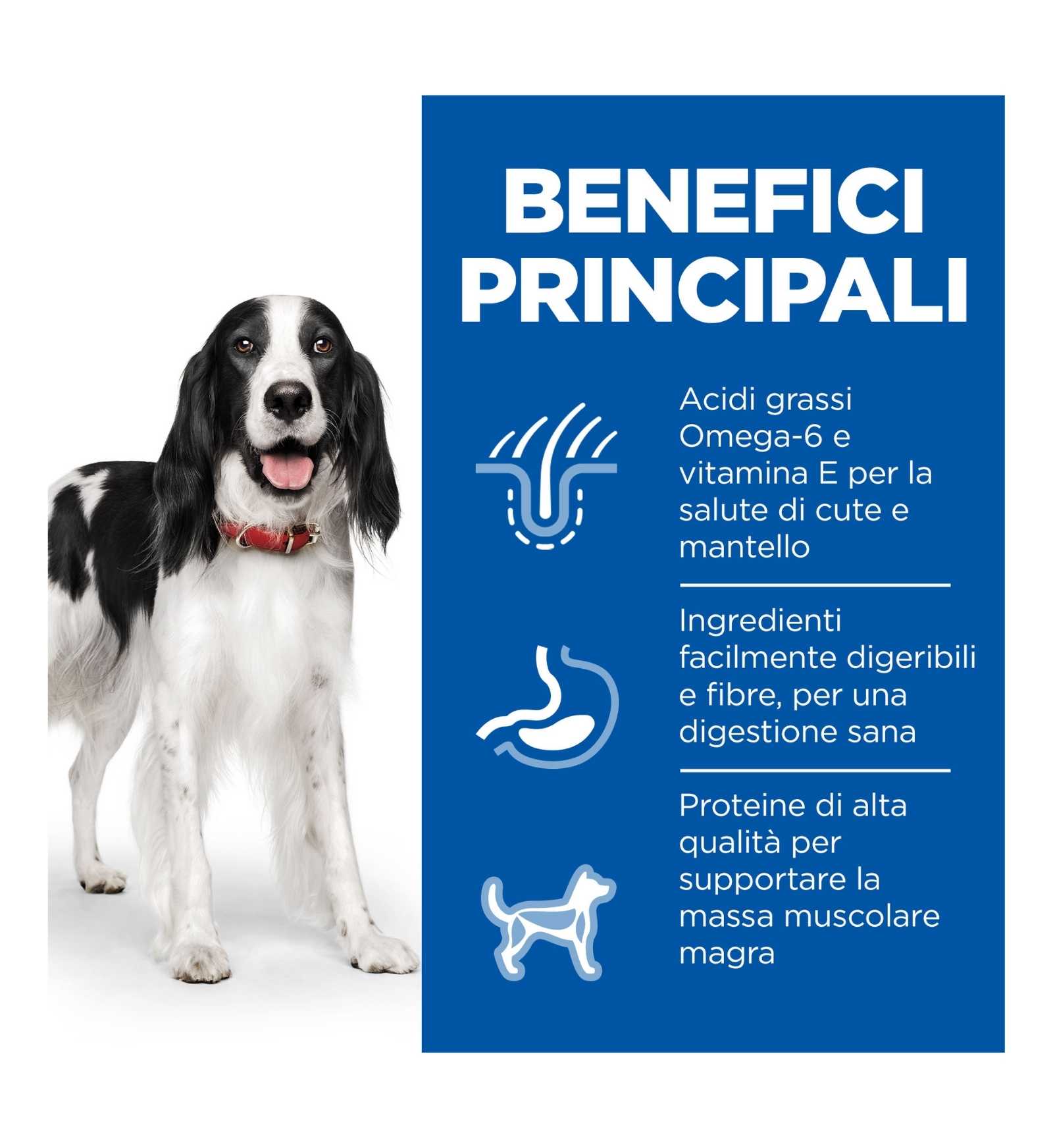 HILL'S SCIENCE PLAN CANE ADULT MEDIUM AL TACCHINO DA 370 GR IN LATTINA