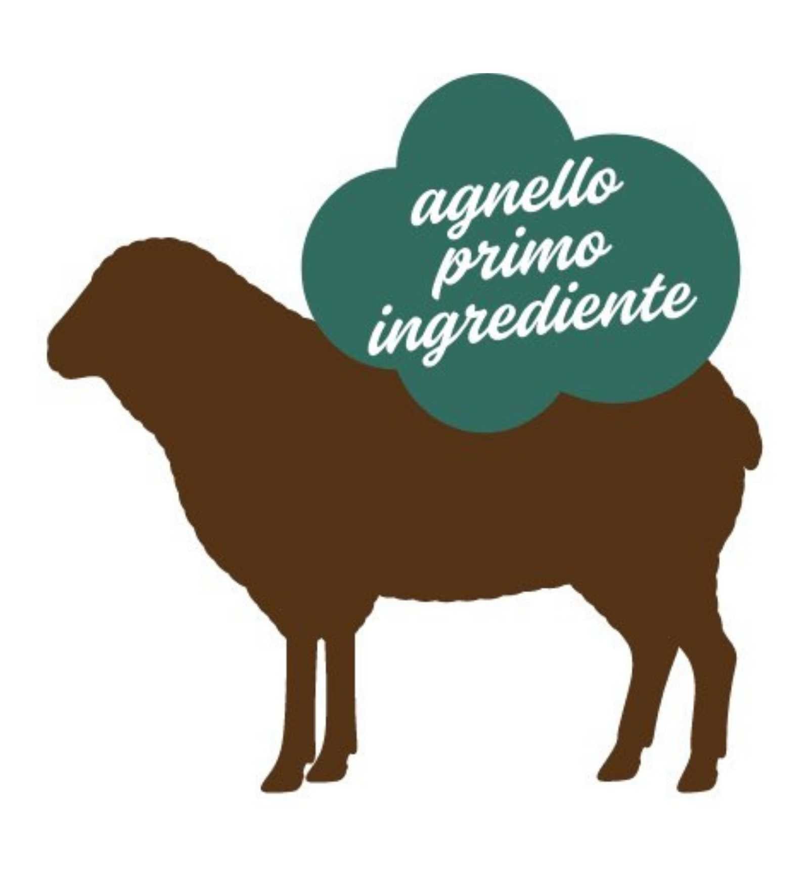 STUZZY CANE ADULT MONOPROTEIN GRAIN & GLUTEN FREE CON AGNELLO DA 400 GR IN LATTINA