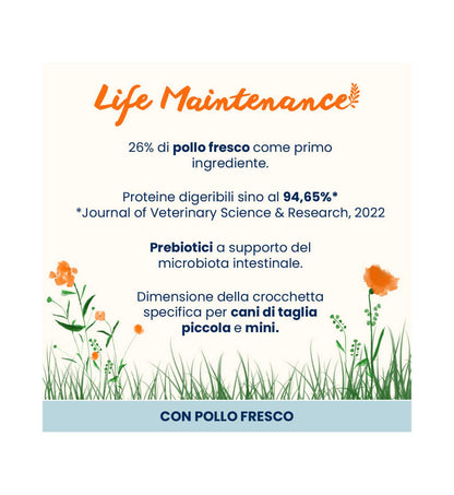 ALMO714_3__Server-Mago_Mago4_Custom_Companies_ZOOEXPERT_SRL_Applications_ERP_Items_Files_Images_AllUsers_714_16.jpg ALMO714 picture