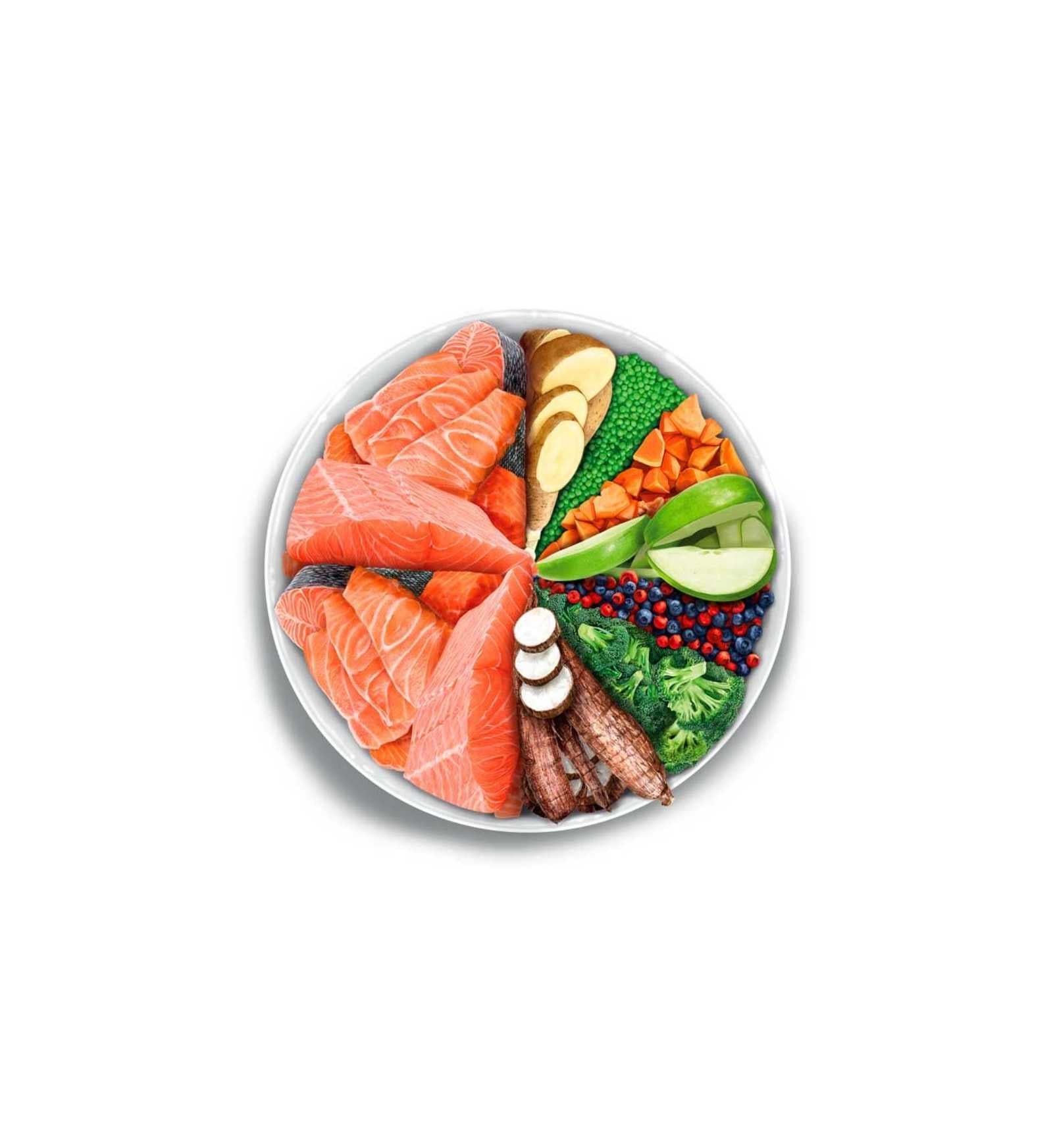 AMANOVA CANE ADULT MINI SENSITIVE SALMONE DELUXE