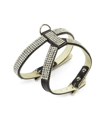 CAMONDC095D_4_Image.erp.items.images.DC095_A_01.jpg CAMONDC095D picture