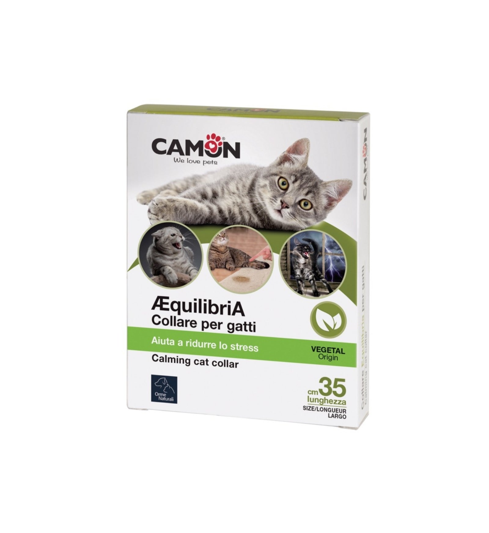 CAMONG951_1_Image.erp.items.images.G951_01.jpg CAMONG951 picture
