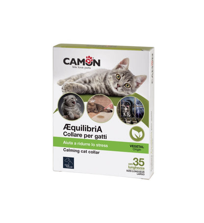 CAMONG951_1_Image.erp.items.images.G951_01.jpg CAMONG951 picture