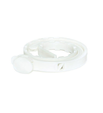 CAMONG951_2_Image.erp.items.images.G951_02.jpg CAMONG951 picture