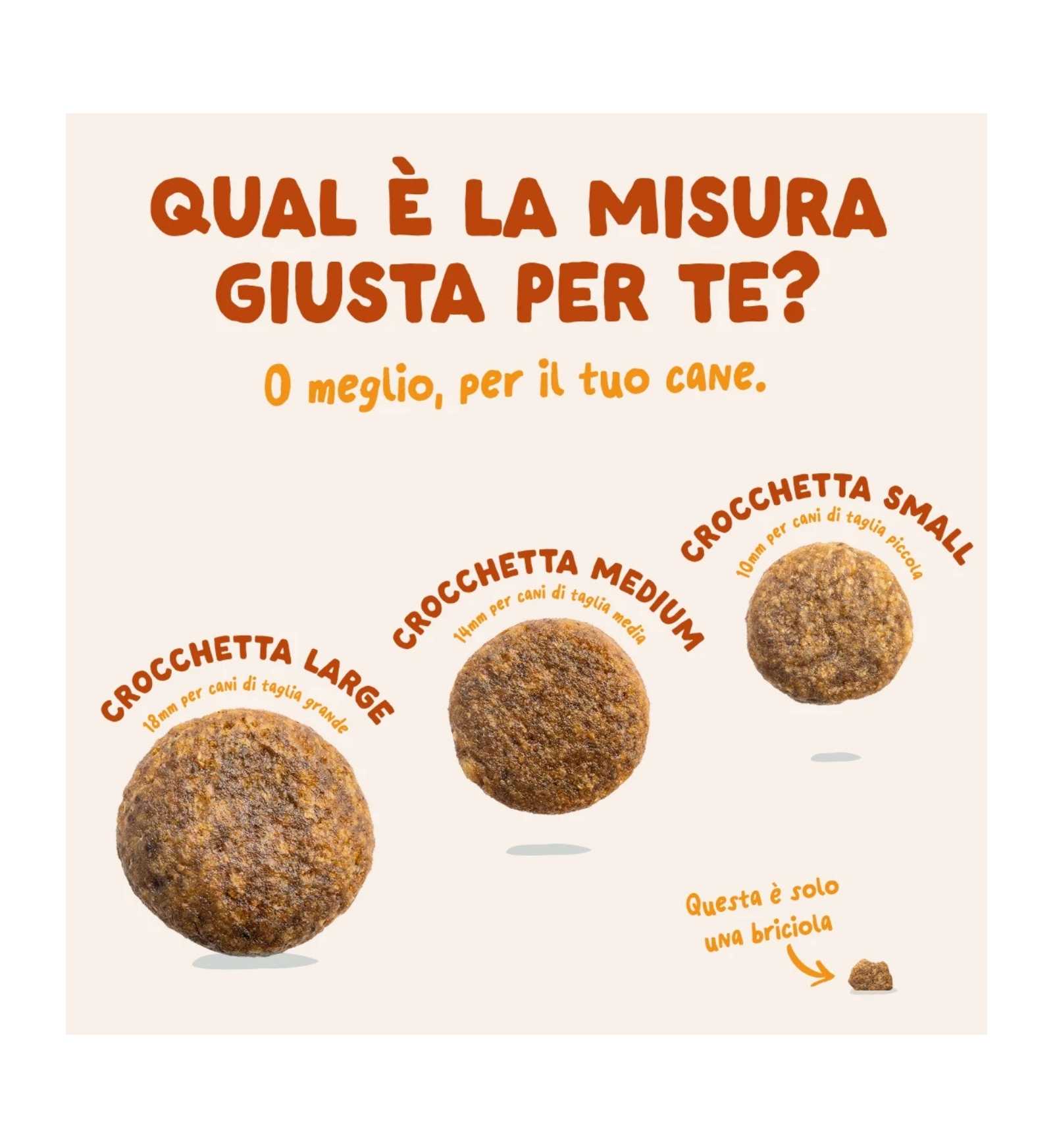 EDGARD7149230_3__Server-Mago_Mago4_Custom_Companies_ZOOEXPERT_SRL_Applications_ERP_Items_Files_Images_AllUsers_7149230_04.jpg EDGARD7149230 picture