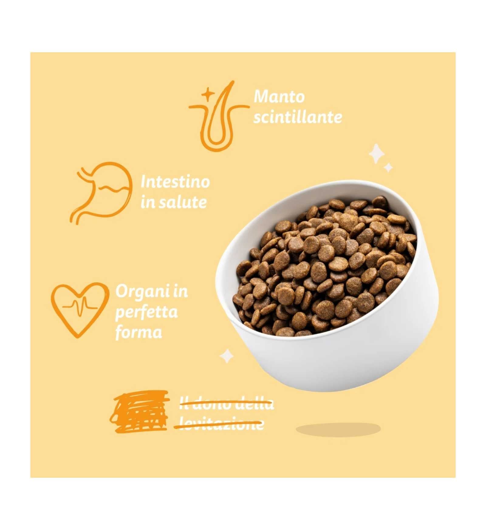 EDGARD7149230_5__Server-Mago_Mago4_Custom_Companies_ZOOEXPERT_SRL_Applications_ERP_Items_Files_Images_AllUsers_7149230_16.jpg EDGARD7149230 picture