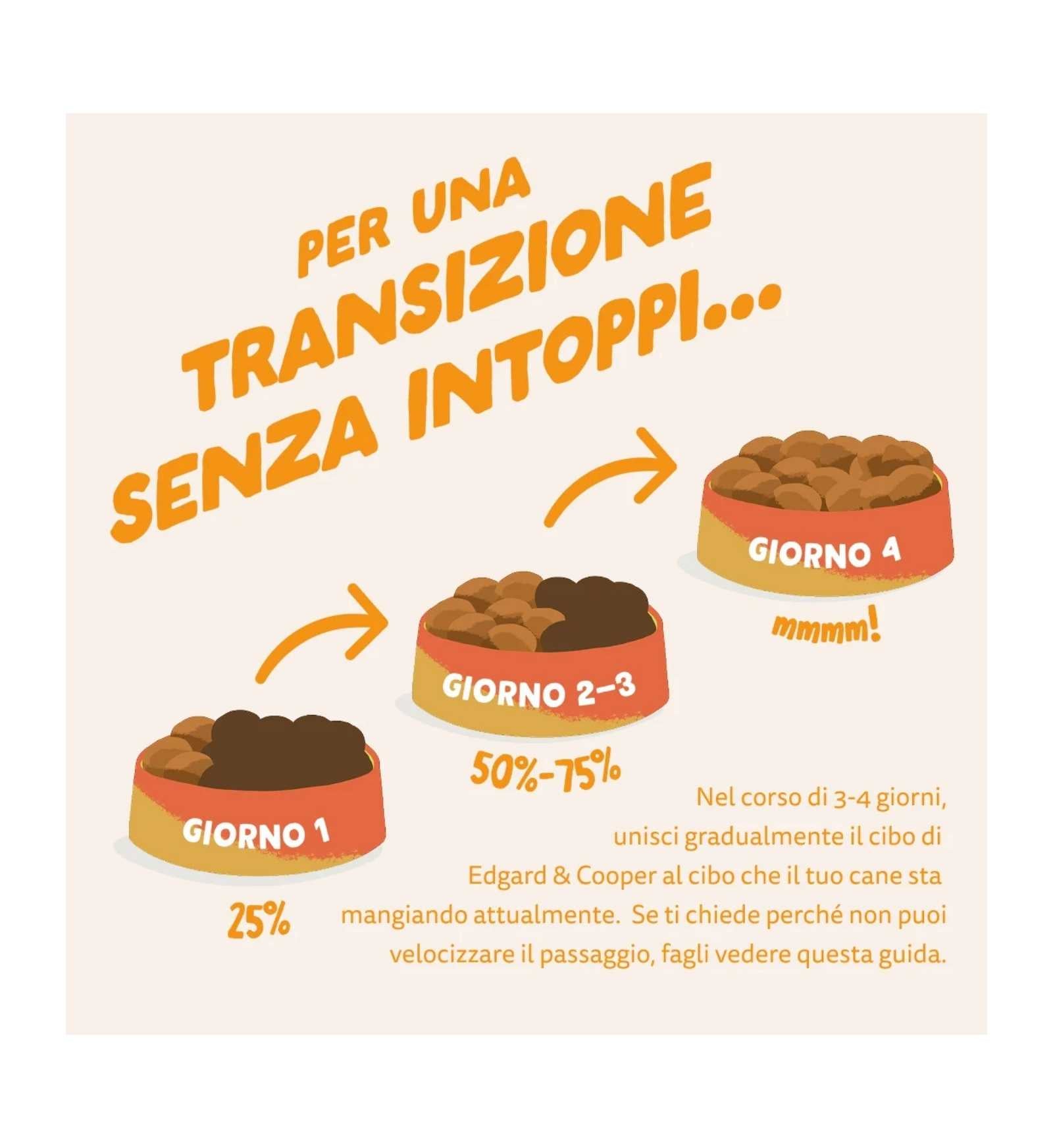 EDGARD7149230_7__Server-Mago_Mago4_Custom_Companies_ZOOEXPERT_SRL_Applications_ERP_Items_Files_Images_AllUsers_7149230_35.jpg EDGARD7149230 picture