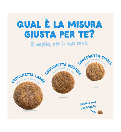 EDGARD9485072_3__Server-Mago_Mago4_Custom_Companies_ZOOEXPERT_SRL_Applications_ERP_Items_Files_Images_AllUsers_9485072_04.jpg EDGARD9485072 picture