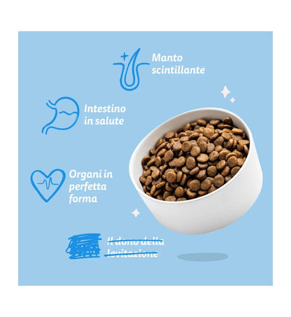 EDGARD9485072_5__Server-Mago_Mago4_Custom_Companies_ZOOEXPERT_SRL_Applications_ERP_Items_Files_Images_AllUsers_9485072_16.jpg EDGARD9485072 picture