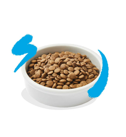 EDGARD9640407_2__Server-Mago_Mago4_Custom_Companies_ZOOEXPERT_SRL_Applications_ERP_Items_Files_Images_AllUsers_9640407_13.jpg EDGARD9640407 picture