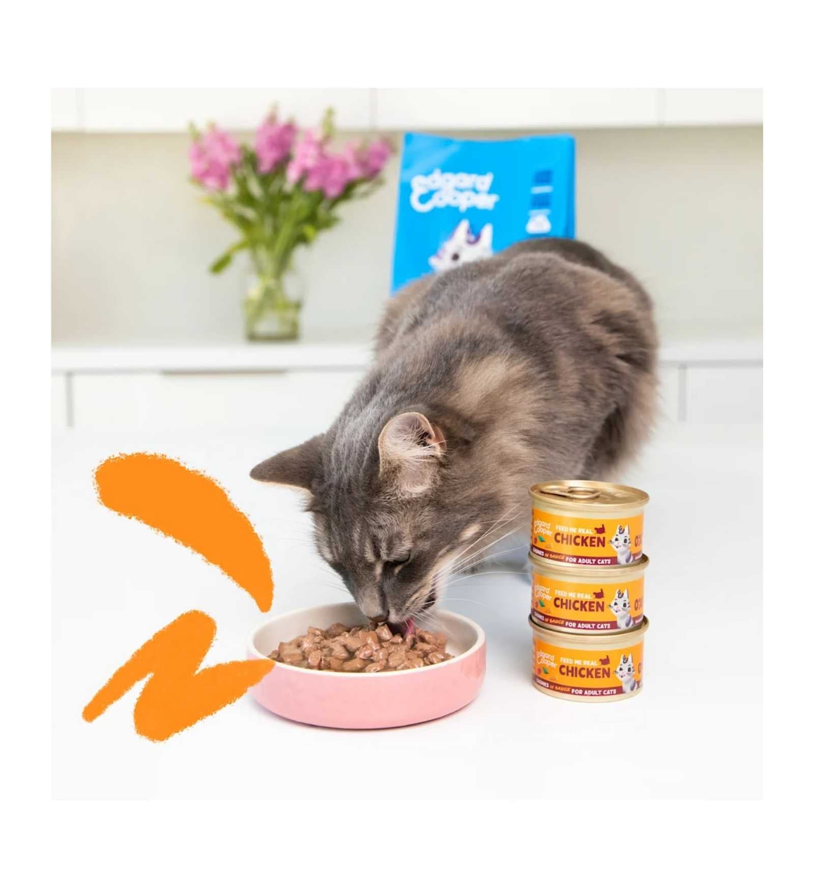 EDGARD9640629_3__Server-Mago_Mago4_Custom_Companies_ZOOEXPERT_SRL_Applications_ERP_Items_Files_Images_AllUsers_9640629_15.jpg EDGARD9640629 picture