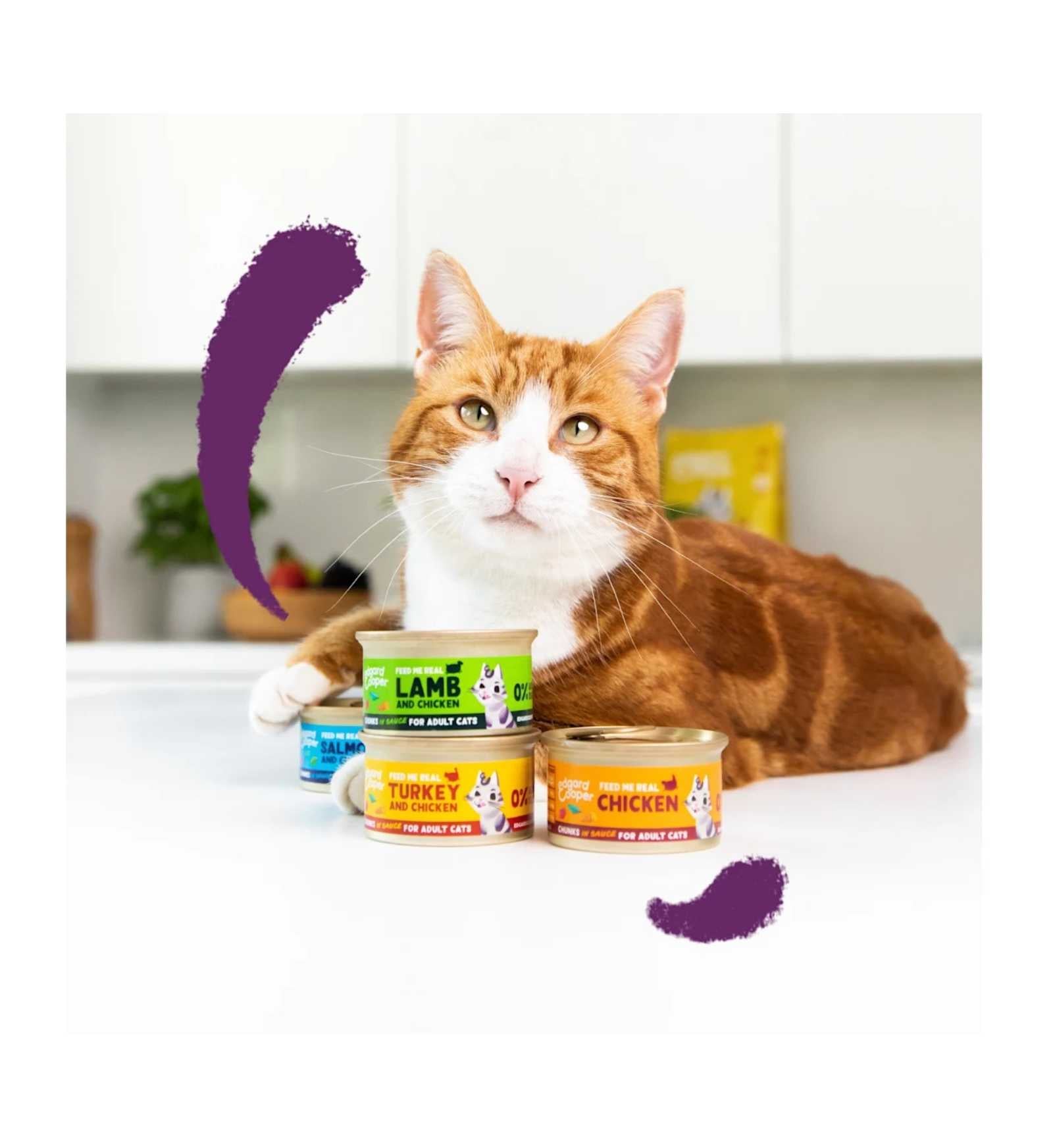 EDGARD9640636_3__Server-Mago_Mago4_Custom_Companies_ZOOEXPERT_SRL_Applications_ERP_Items_Files_Images_AllUsers_9640636_15.jpg EDGARD9640636 picture