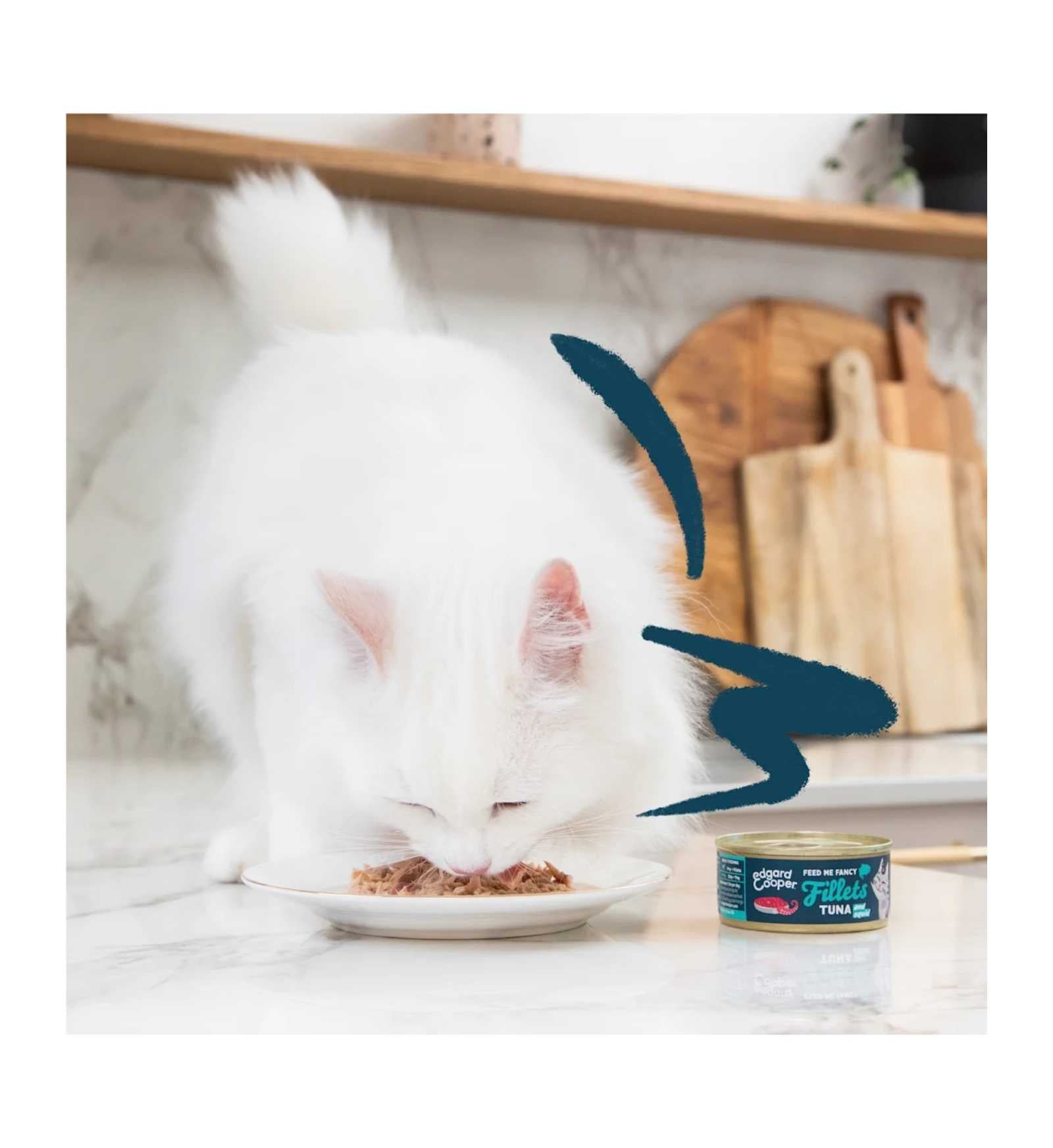 EDGARD9640872_3__Server-Mago_Mago4_Custom_Companies_ZOOEXPERT_SRL_Applications_ERP_Items_Files_Images_AllUsers_9640872_15.jpg EDGARD9640872 picture