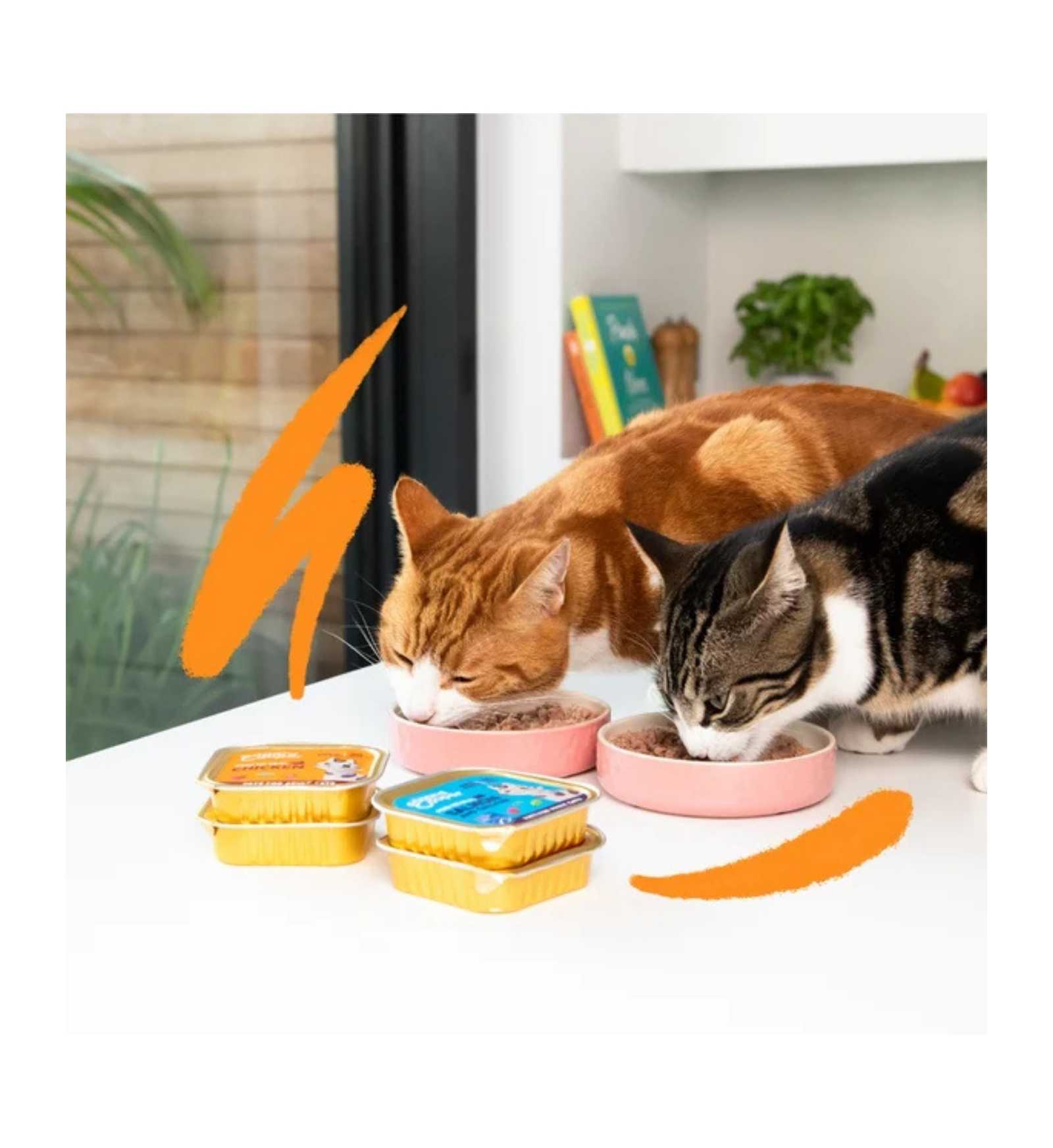 EDGARD9641114_3__Server-Mago_Mago4_Custom_Companies_ZOOEXPERT_SRL_Applications_ERP_Items_Files_Images_AllUsers_9641114_15.jpg EDGARD9641114 picture