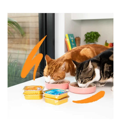 EDGARD9641114_3__Server-Mago_Mago4_Custom_Companies_ZOOEXPERT_SRL_Applications_ERP_Items_Files_Images_AllUsers_9641114_15.jpg EDGARD9641114 picture