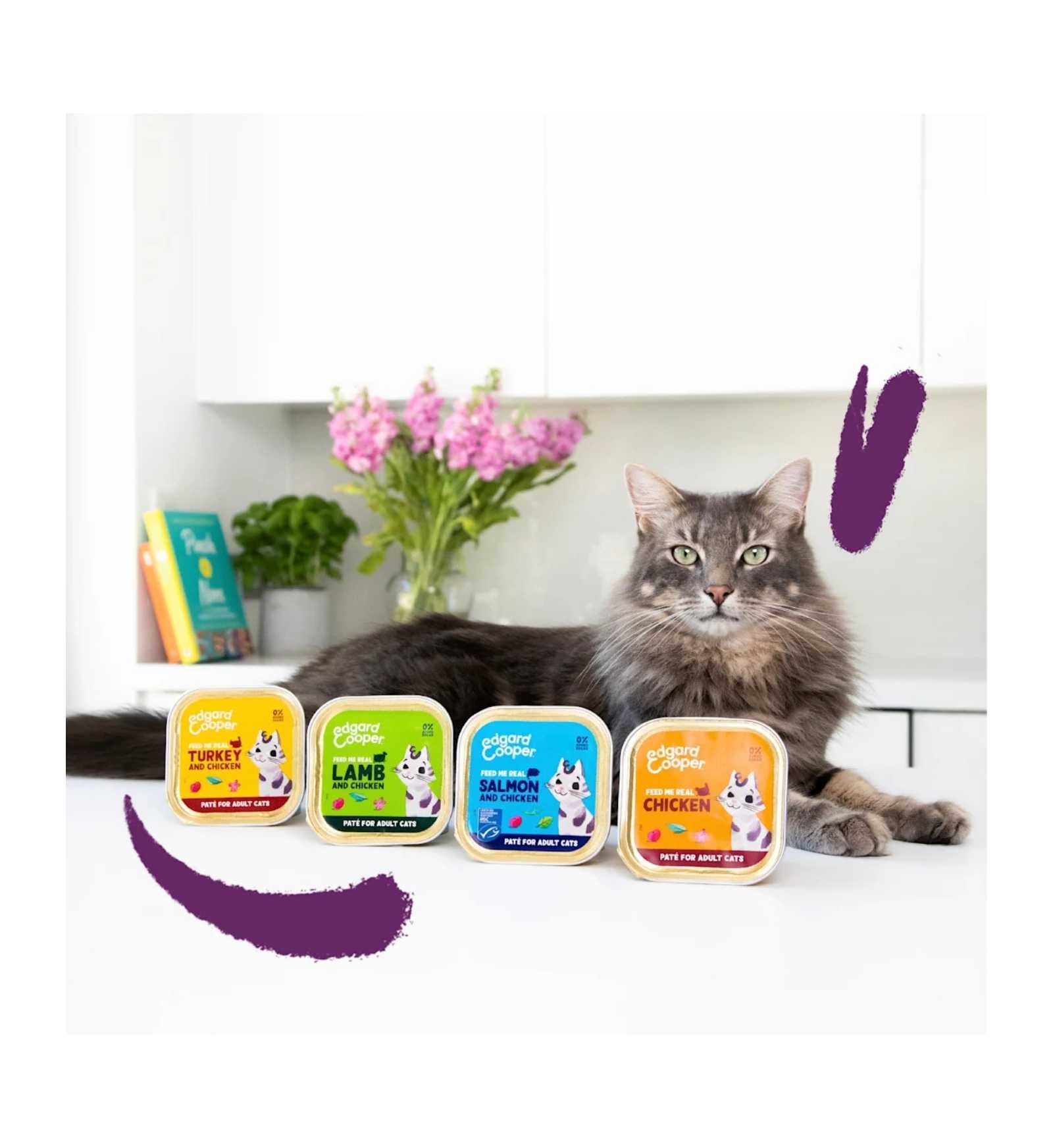 EDGARD9641138_3__Server-Mago_Mago4_Custom_Companies_ZOOEXPERT_SRL_Applications_ERP_Items_Files_Images_AllUsers_9641138_15.jpg EDGARD9641138 picture