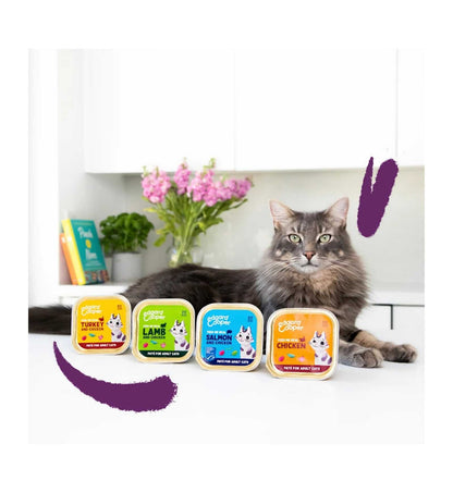 EDGARD9641138_3__Server-Mago_Mago4_Custom_Companies_ZOOEXPERT_SRL_Applications_ERP_Items_Files_Images_AllUsers_9641138_15.jpg EDGARD9641138 picture