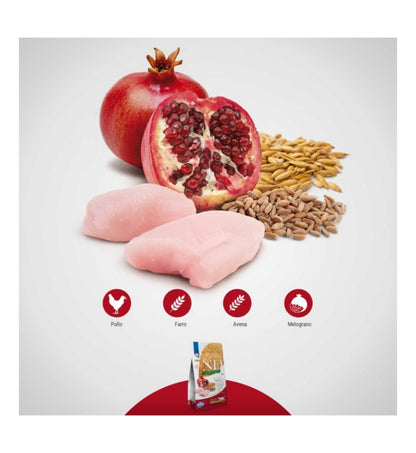 FARMIN2751_26_Image.erp.items.images.PND015024I_26.jpg FARMIN2751 picture