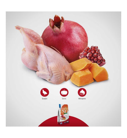 FARMIN5387_26_Image.erp.items.images.PND0150014_26.jpg FARMIN5387 picture