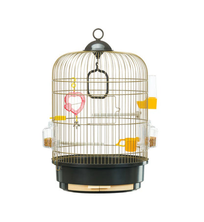 FERPLA51049811_3_Image.erp.items.images.51049802_01.jpg FERPLA51049811 picture