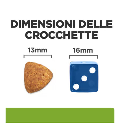 HILLS10039N_01_3__Server-Mago_Mago4_Custom_Companies_ZOOEXPERT_SRL_Applications_ERP_Items_Files_Images_AllUsers_605884_11.jpg HILLS10039N_01 picture