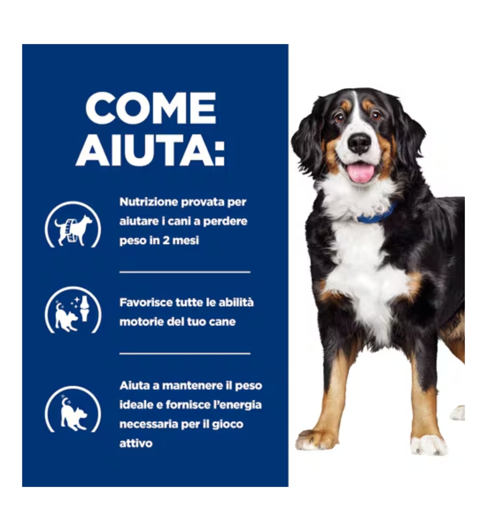 HILLS10039N_01_4__Server-Mago_Mago4_Custom_Companies_ZOOEXPERT_SRL_Applications_ERP_Items_Files_Images_AllUsers_605884_16.jpg HILLS10039N_01 picture