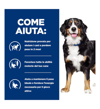 HILLS10039N_01_5__Server-Mago_Mago4_Custom_Companies_ZOOEXPERT_SRL_Applications_ERP_Items_Files_Images_AllUsers_605884_16.jpg HILLS10039N_01 picture