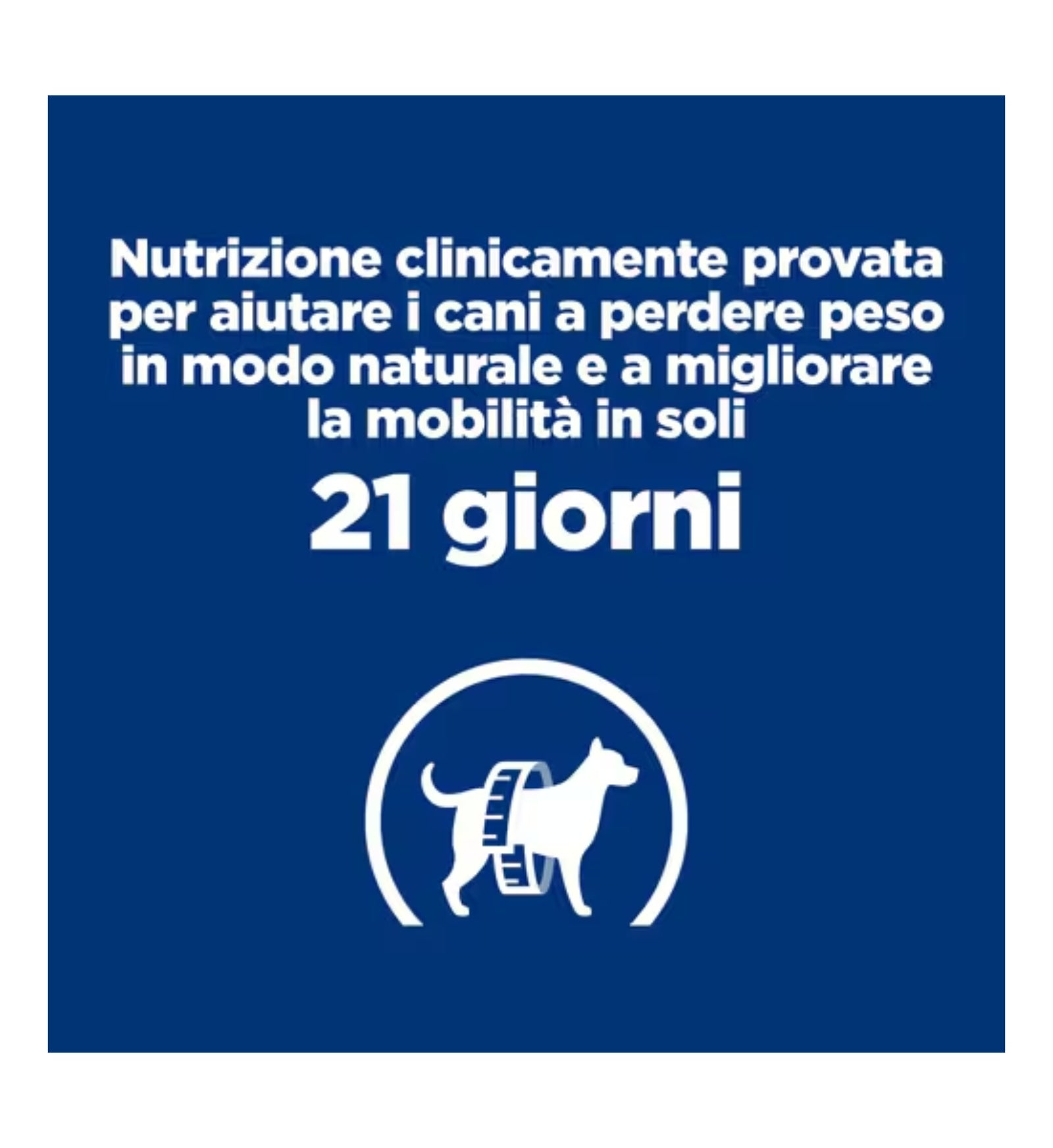 HILLS10039N_01_6__Server-Mago_Mago4_Custom_Companies_ZOOEXPERT_SRL_Applications_ERP_Items_Files_Images_AllUsers_605884_18.jpg HILLS10039N_01 picture