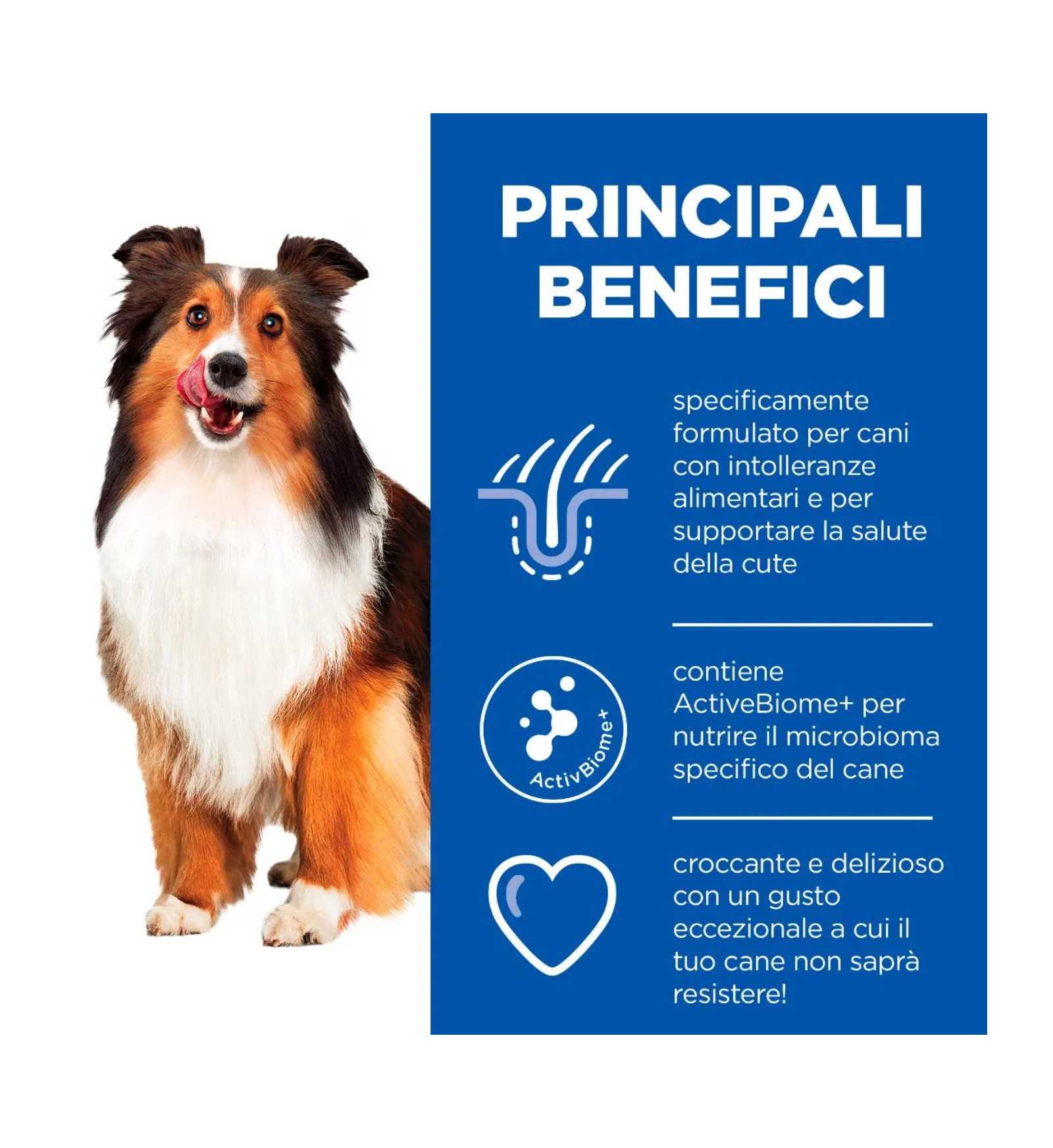 HILLS10183YZ_5__Server-Mago_Mago4_Custom_Companies_ZOOEXPERT_SRL_Applications_ERP_Items_Files_Images_AllUsers_604403_13.jpg HILLS10183YZ picture